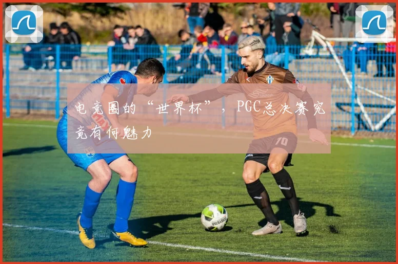 电竞圈的“世界杯”，PGC总决赛究竟有何魅力