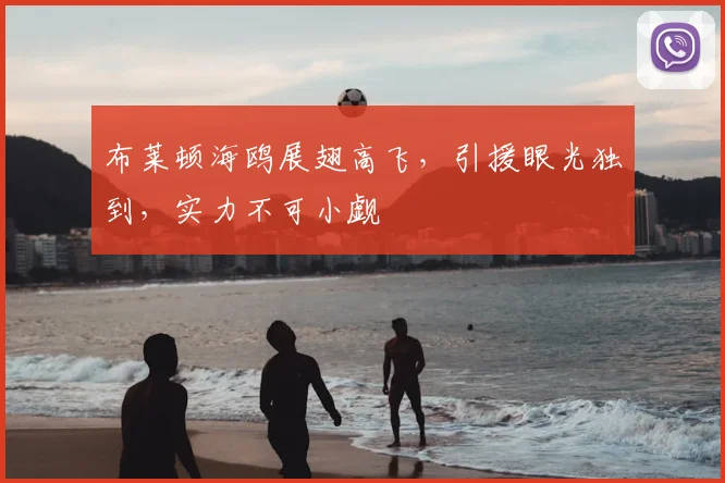 布莱顿海鸥展翅高飞，引援眼光独到，实力不可小觑