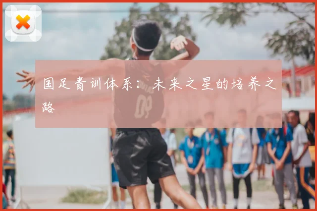 国足青训体系：未来之星的培养之路