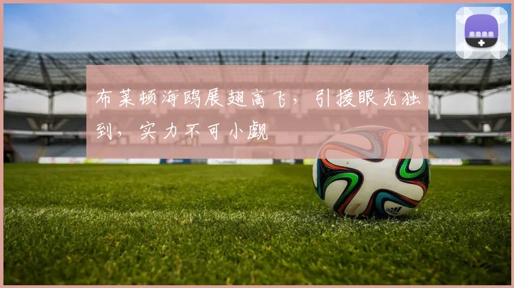 布莱顿海鸥展翅高飞，引援眼光独到，实力不可小觑