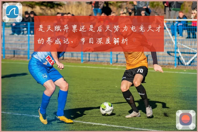 是天赋异禀还是后天努力电竞天才的养成记，节目深度解析
